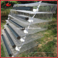 H type ou un type Commercial Cage Farm Cage